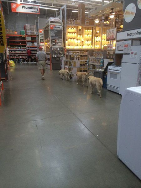 Daily Picdump