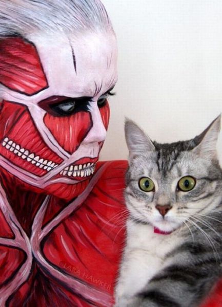 Daily Picdump