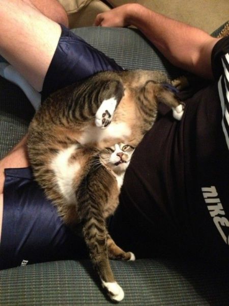 Content Image