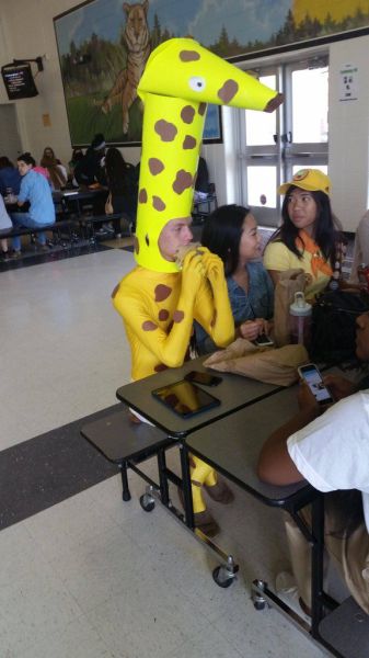 Content Image