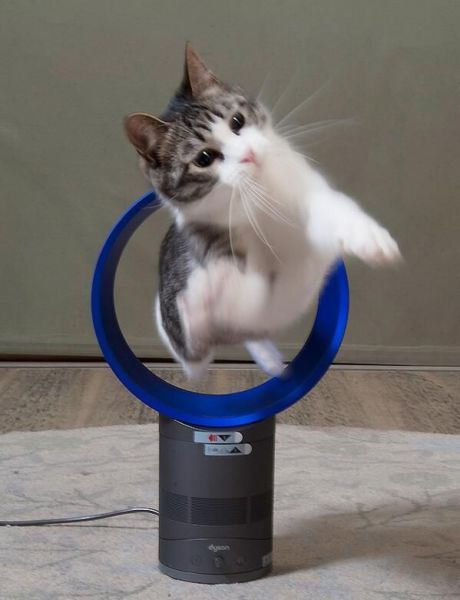 Content Image