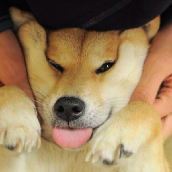 Content Image