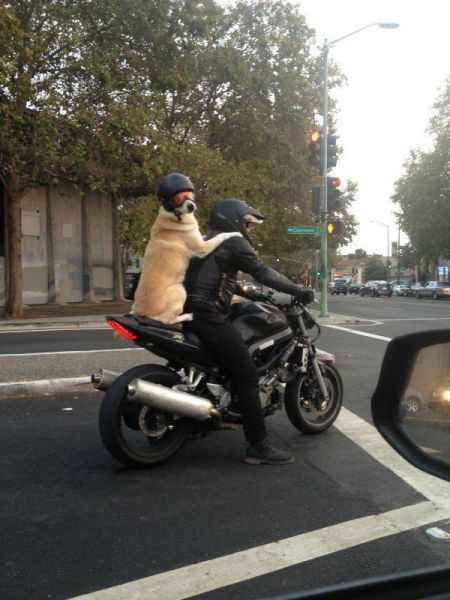 Content Image