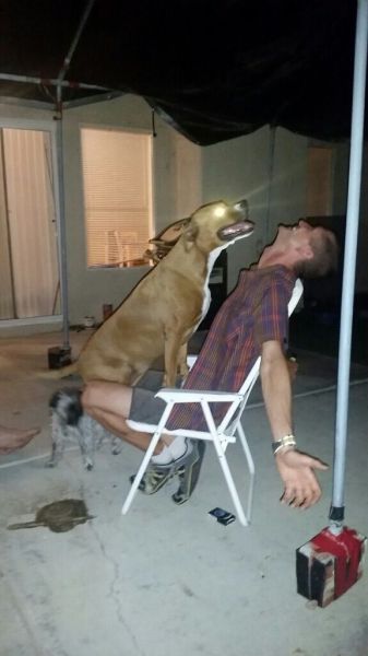 Content Image
