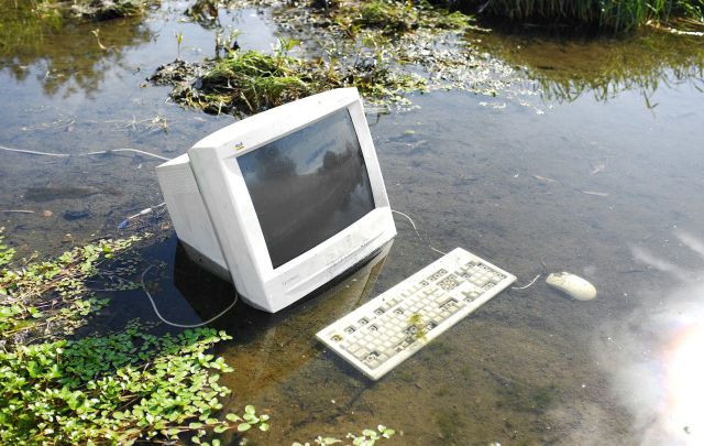Content Image