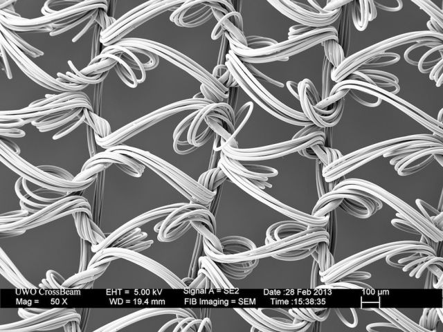 Microscope Images Make Even Normal Stuff Look Strange