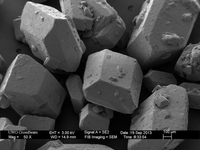 Microscope Images Make Even Normal Stuff Look Strange