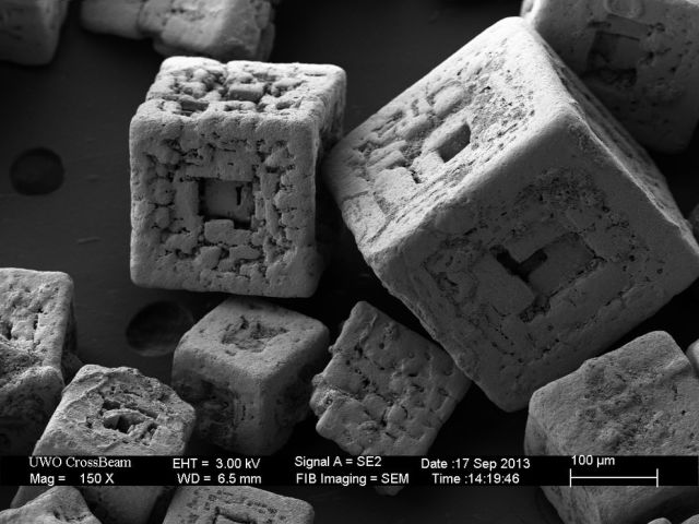 Microscope Images Make Even Normal Stuff Look Strange