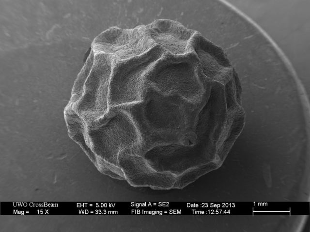 Microscope Images Make Even Normal Stuff Look Strange