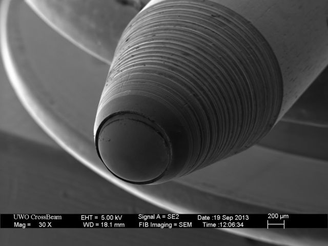 Microscope Images Make Even Normal Stuff Look Strange