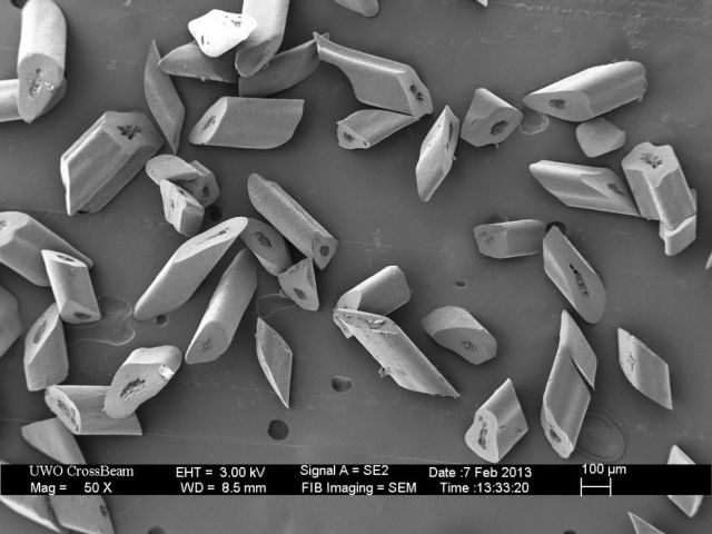 Microscope Images Make Even Normal Stuff Look Strange