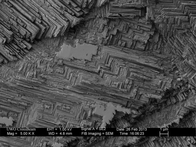 Microscope Images Make Even Normal Stuff Look Strange