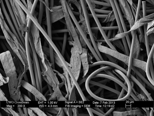 Microscope Images Make Even Normal Stuff Look Strange
