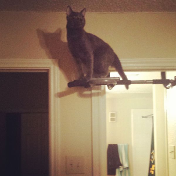 Content Image
