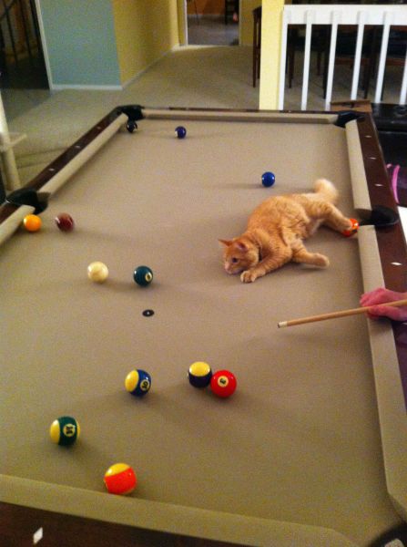 Content Image
