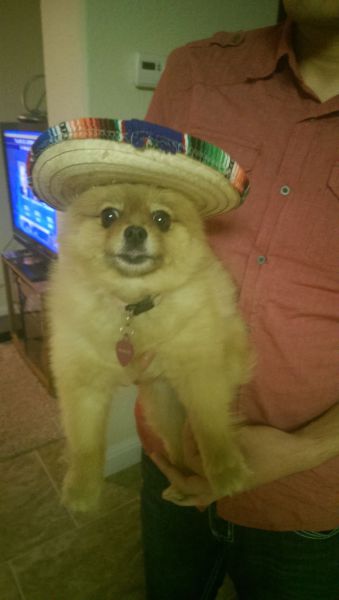 Content Image