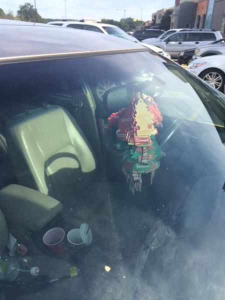 Morning Picdump