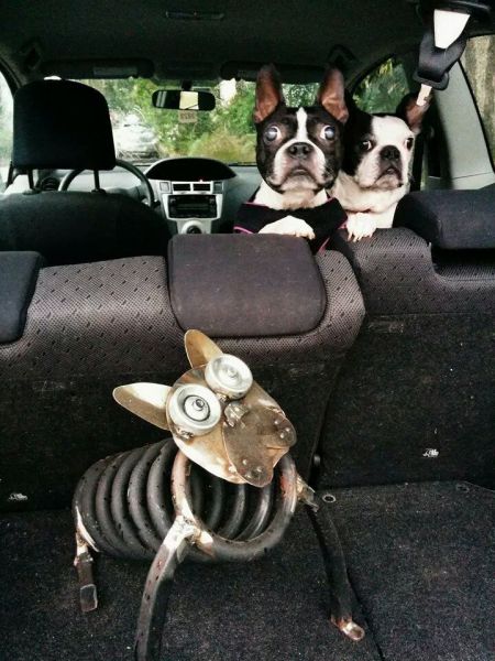 Morning Picdump