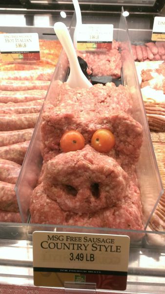 Morning Picdump
