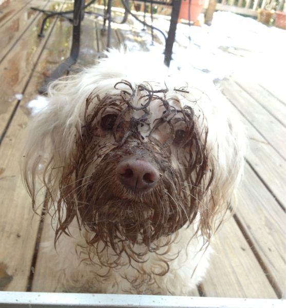 Morning Picdump