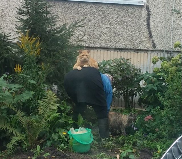 Morning Picdump