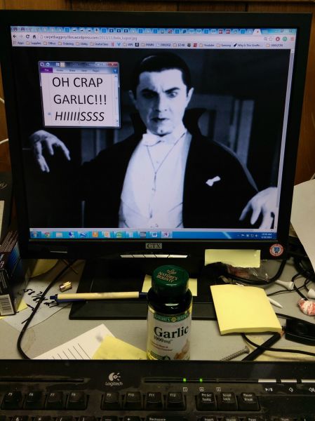 Morning Picdump