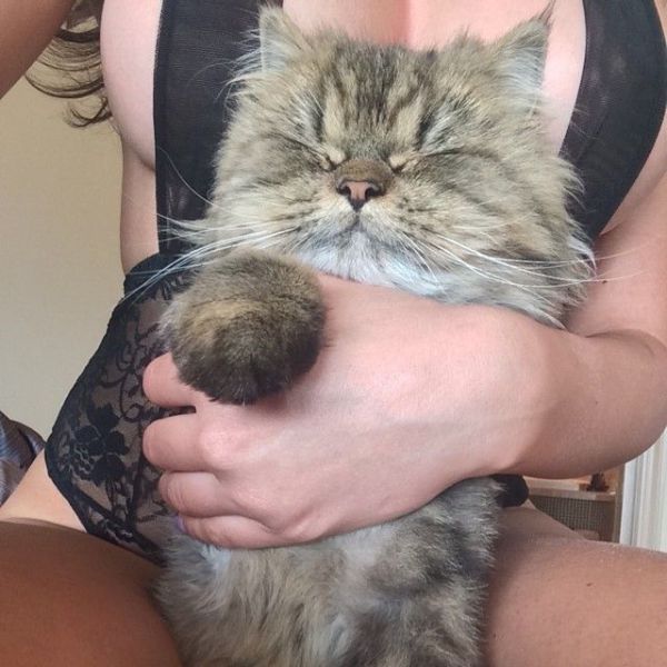 Content Image