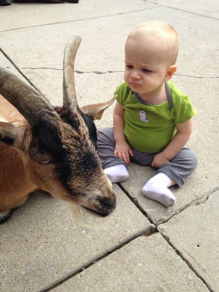 Daily Picdump