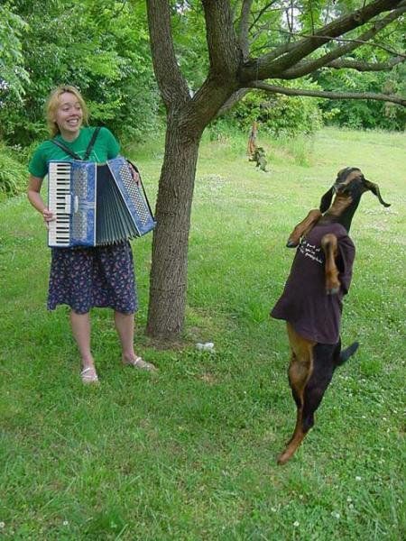 Daily Picdump