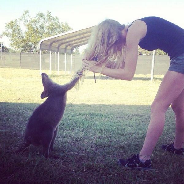 Daily Picdump