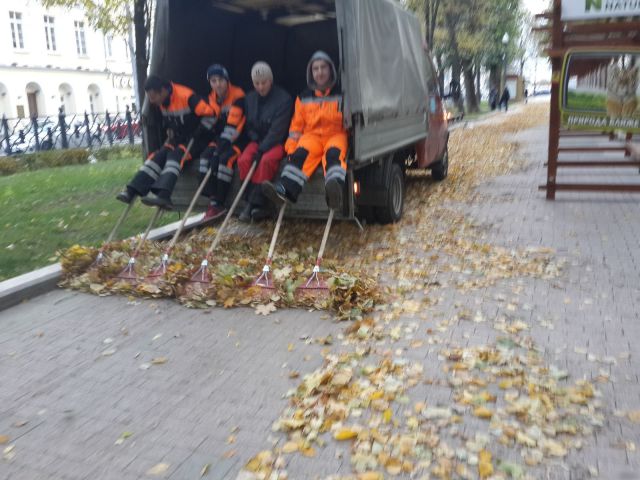 Content Image