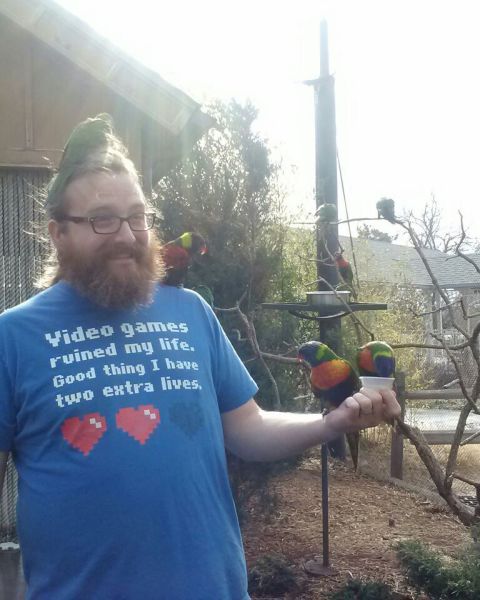 Content Image