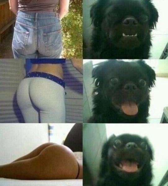 Morning Picdump