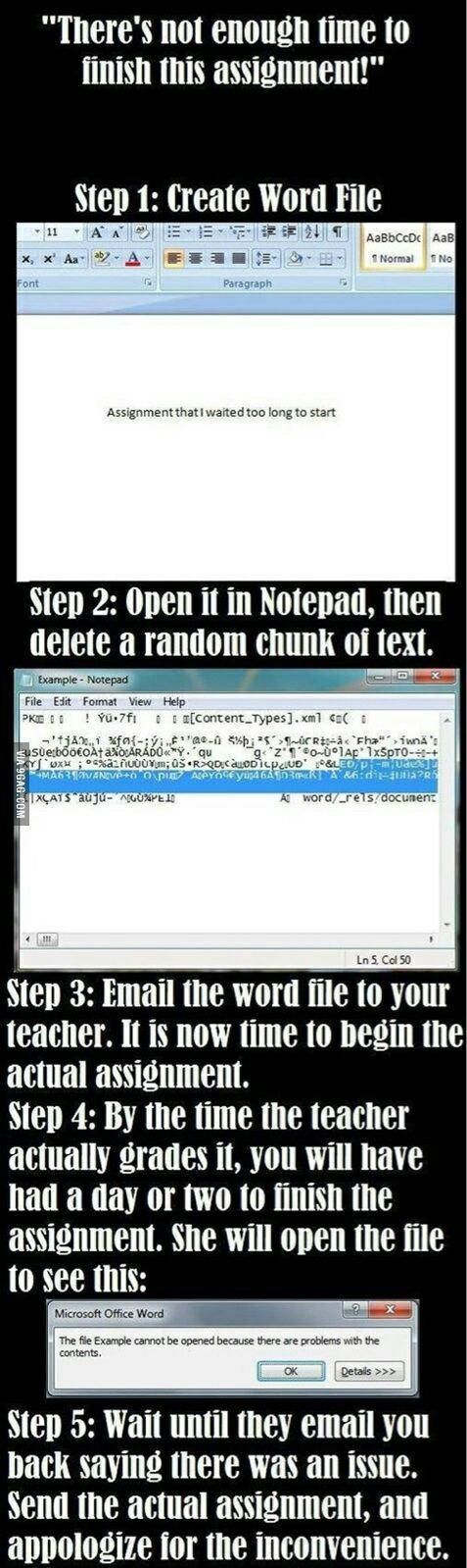 Morning Picdump