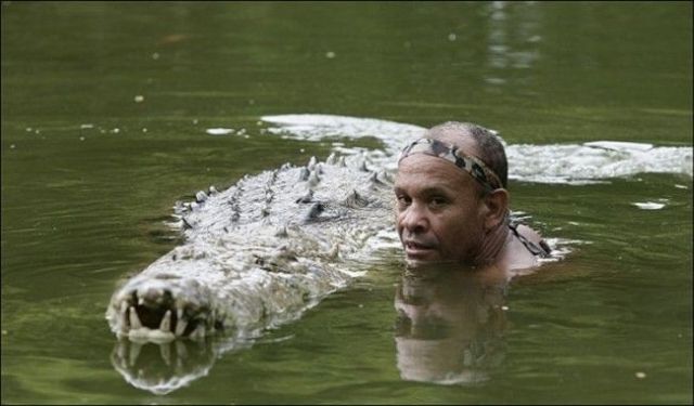 Content Image