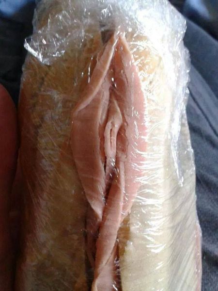 Content Image