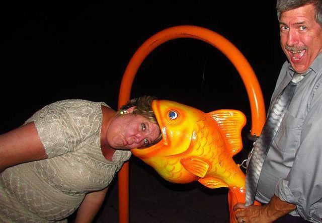 Content Image