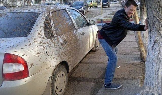 Content Image
