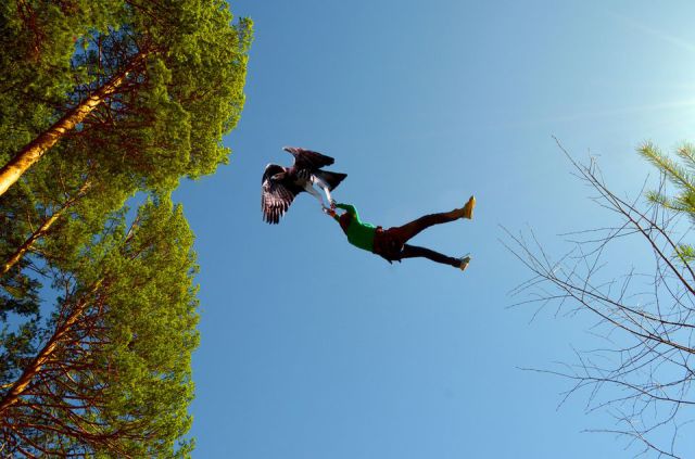 Content Image