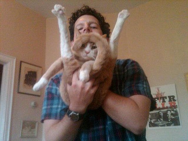 Content Image