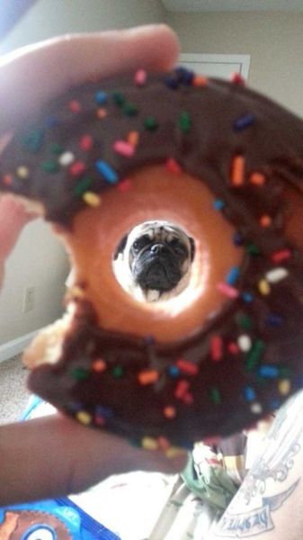Content Image