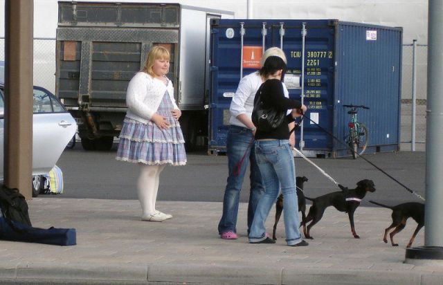 Content Image