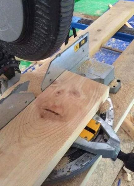 Content Image