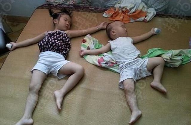 Daily Picdump