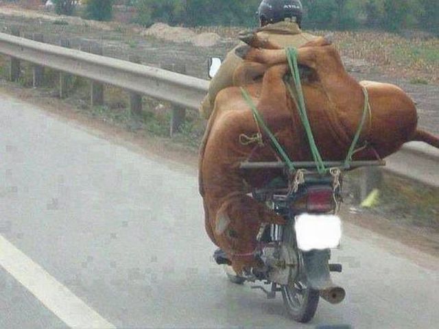 Content Image
