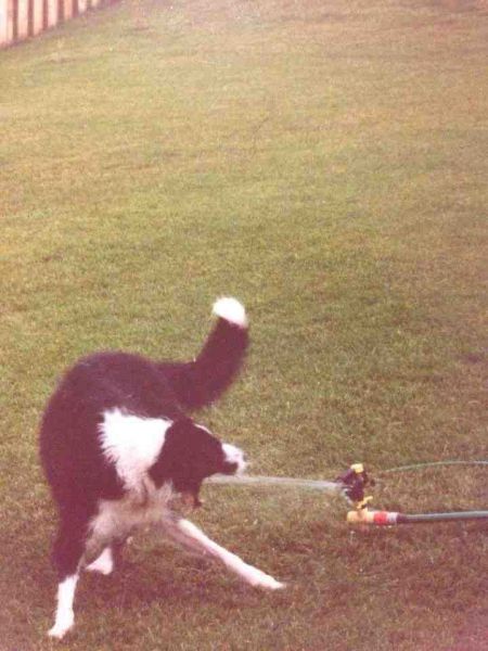 Morning Picdump