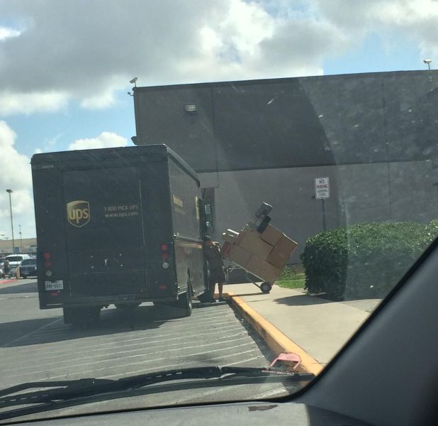 Morning Picdump