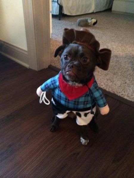 Content Image