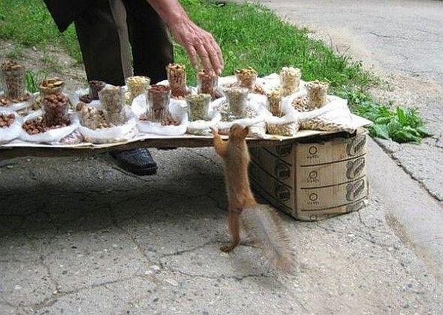 Morning Picdump