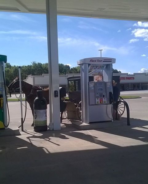 Morning Picdump